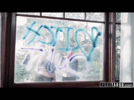 vandal vixien