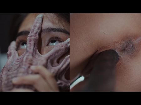 historias de familias asiáticas calientes