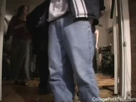 fiesta primavera universitarios