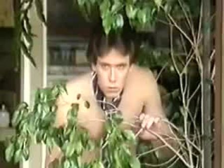 orgigas_tros_cansadas